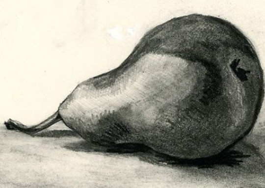 Charcoal drawing of a pear